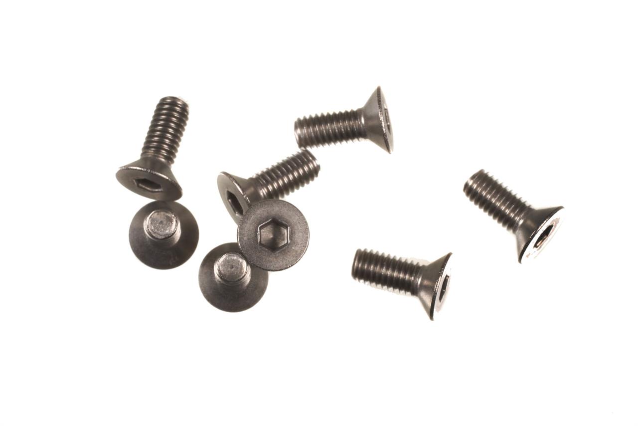 M3X8 F/H TITANIUM SCREW (8)