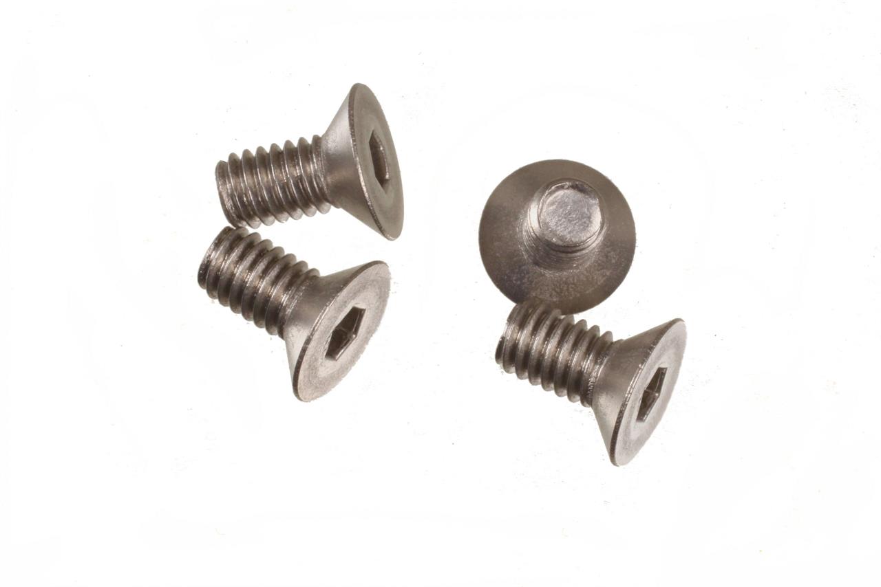 M4X8 F/H TITANIUM SCREW (4)