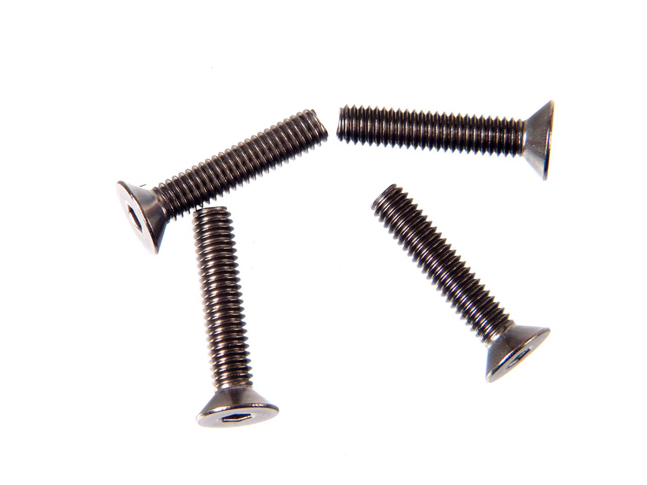 SJG4x20 Titanium F/H Cap Screw (4pcs.)