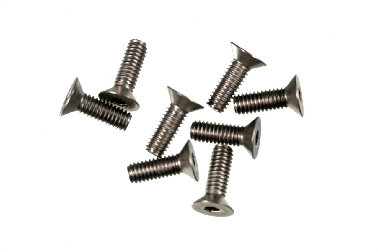 M4X12 F/H TITANIUM SCREW (8)