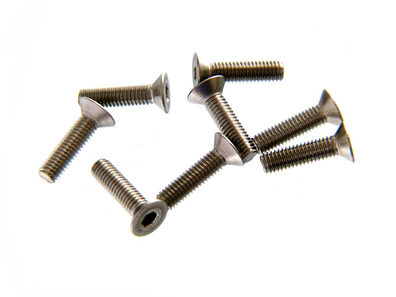 M3X12 F/H TITANIUM SCREW (8)
