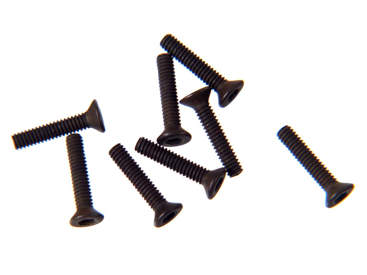 M2X10  F/H CAP SCREW