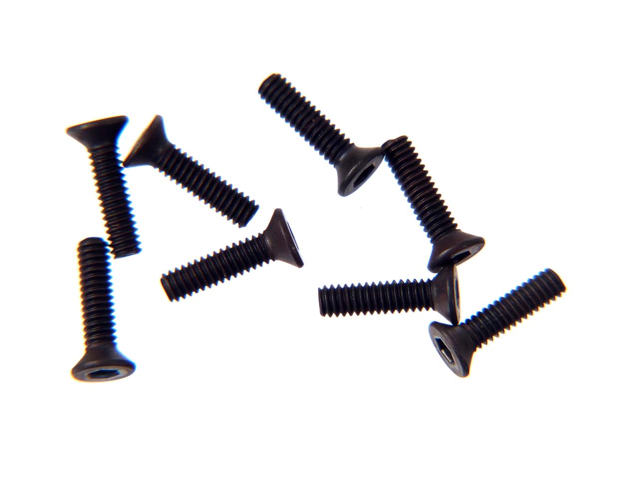 M2X8 F/H SCREW