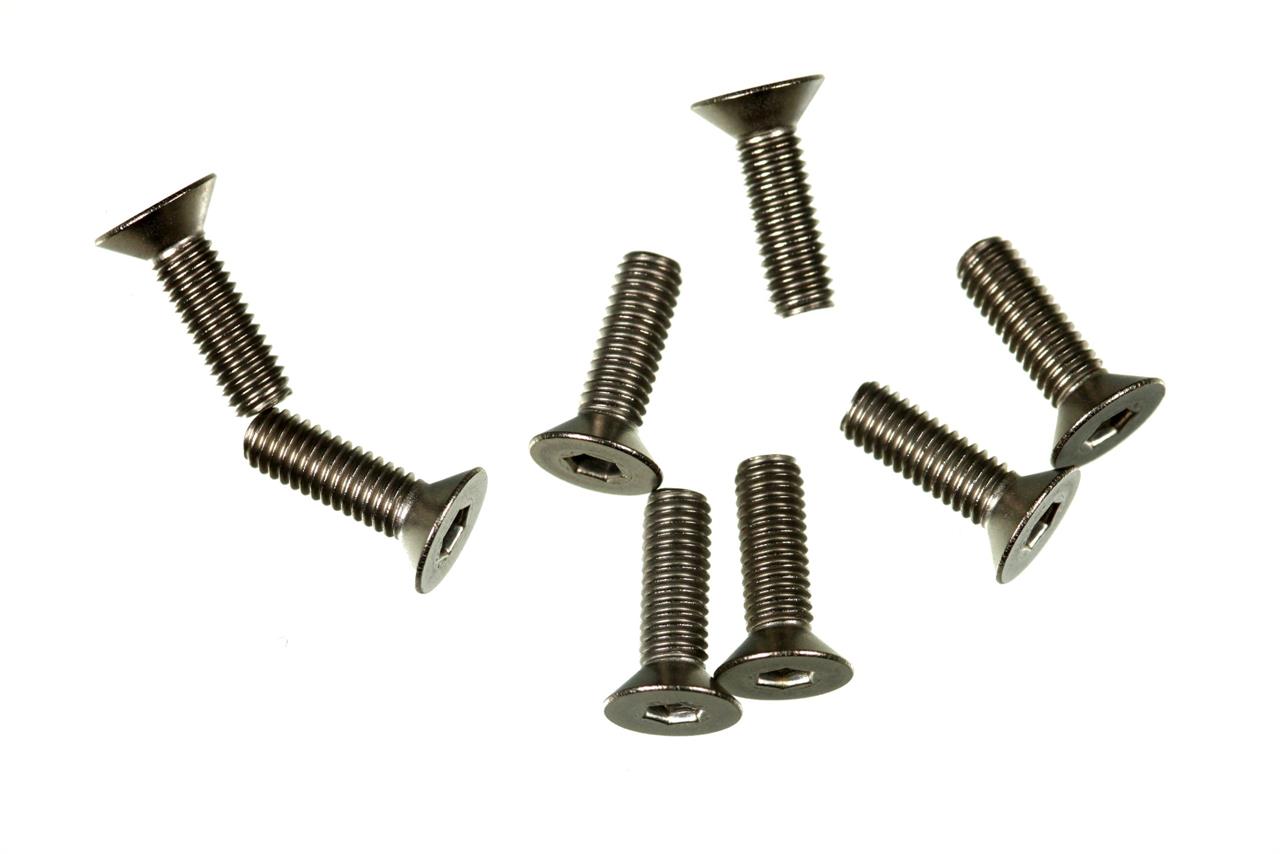 M3X10 F/H TITANIUM SCREW (8)
