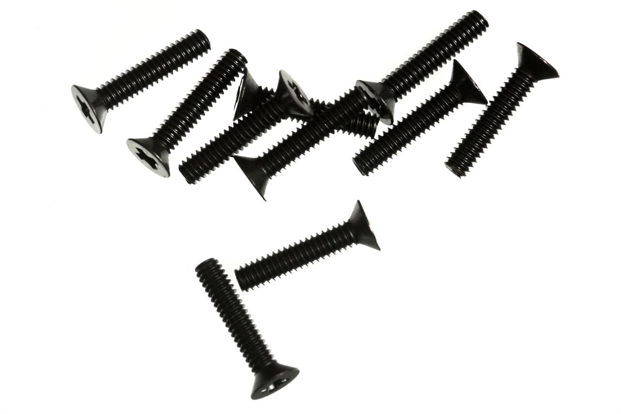 M2X10 F/H SCREW
